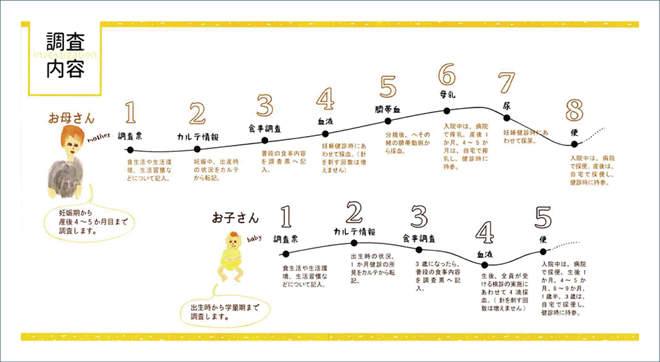 図1│北海道岩見沢市における母子健康調査