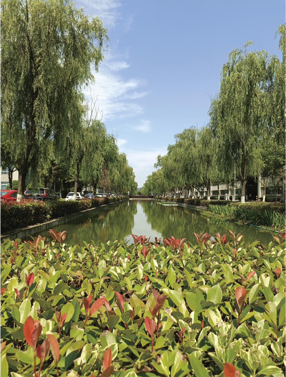 図2│上海工場に設置された景観用の池