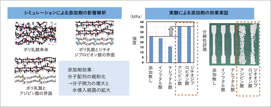 ［14］CIで探索した添加剤の効果を示すシミュレーションと実験の結果