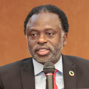 Tshilidzi Marwala